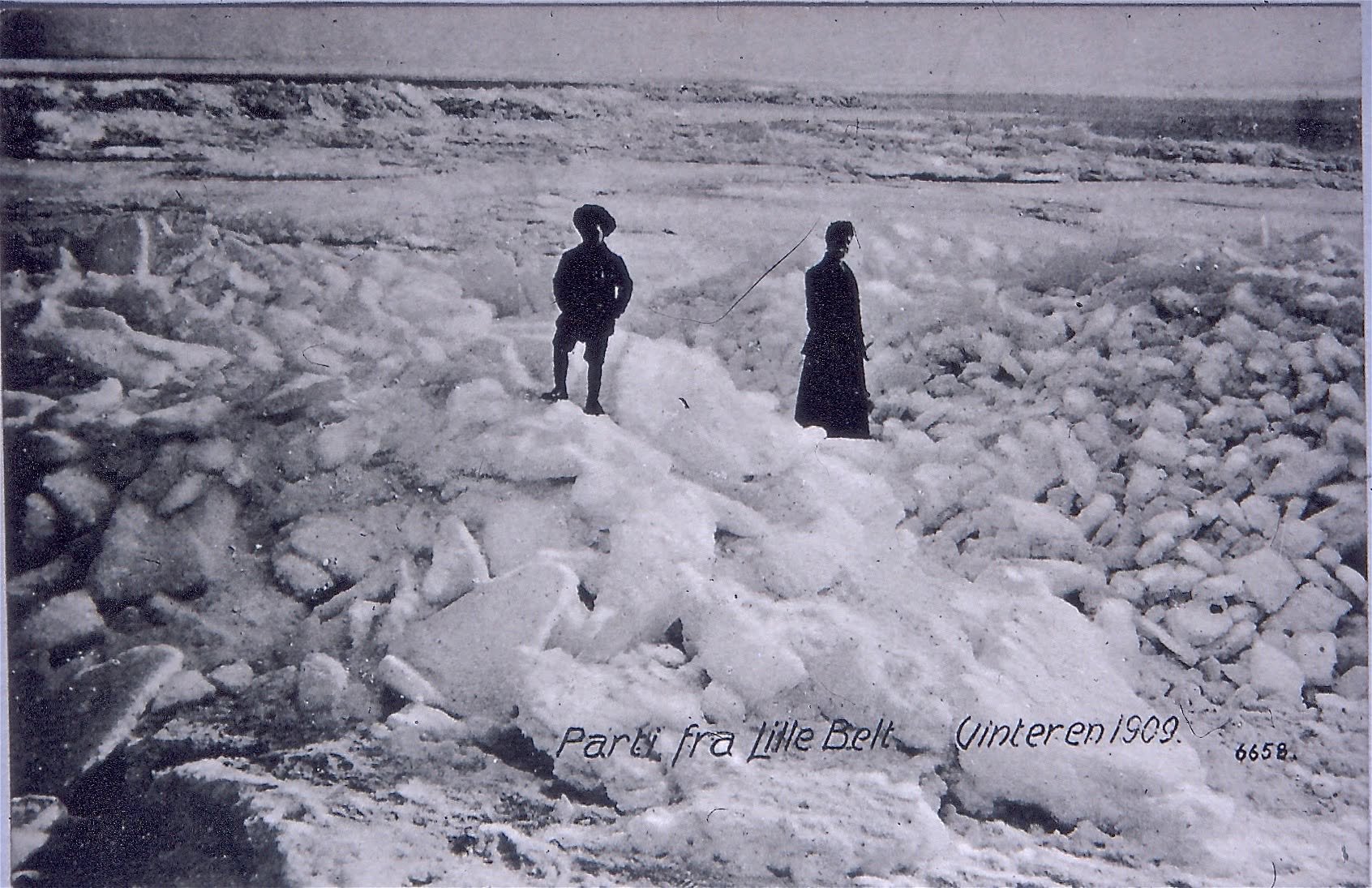 Isvinter på Lillebælt med folk på isen i 1909.