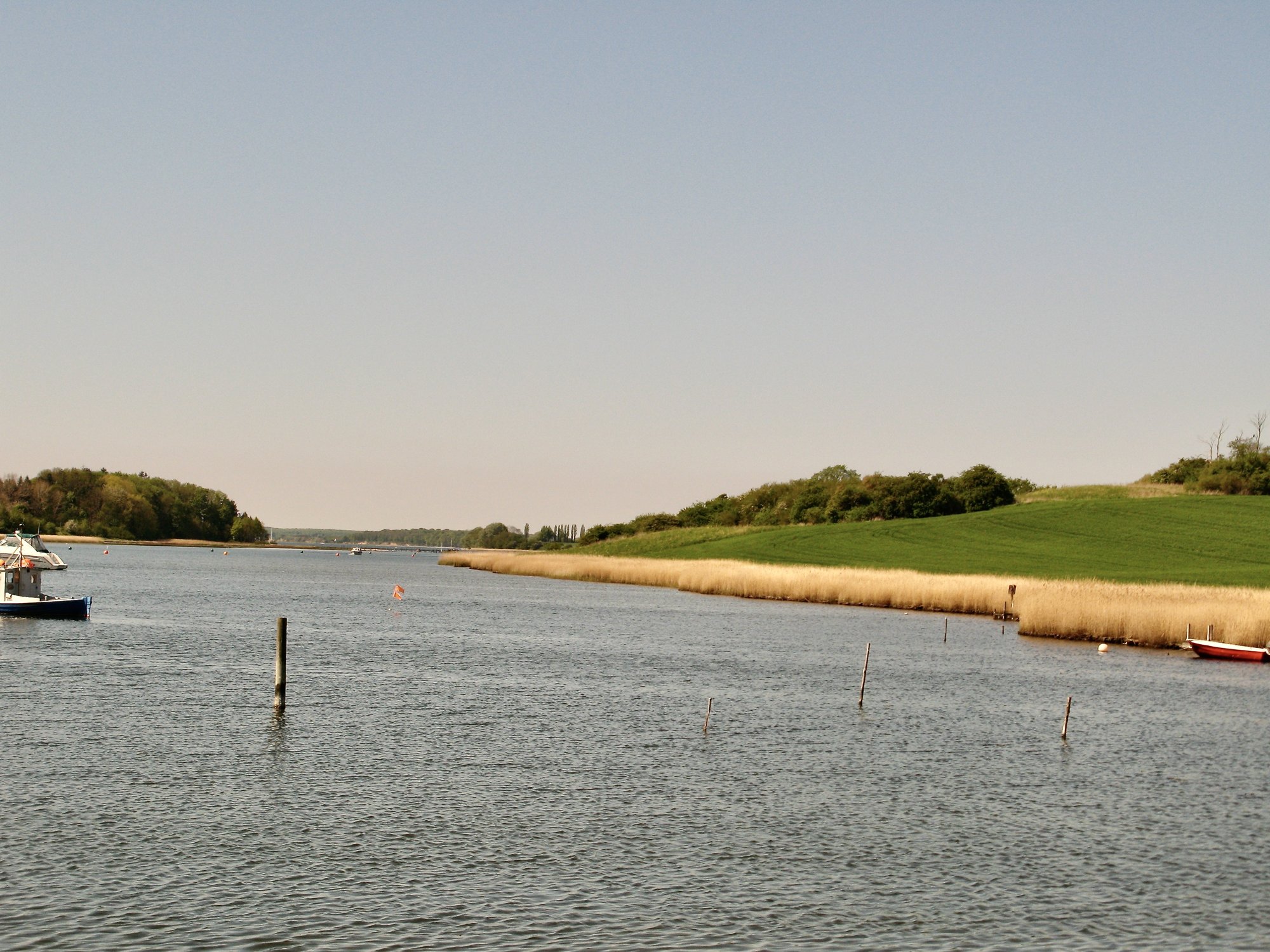 Gamborg Fjord med udsigt mod det område, hvor den historiske borg Højborg lå placeret ved træerne.