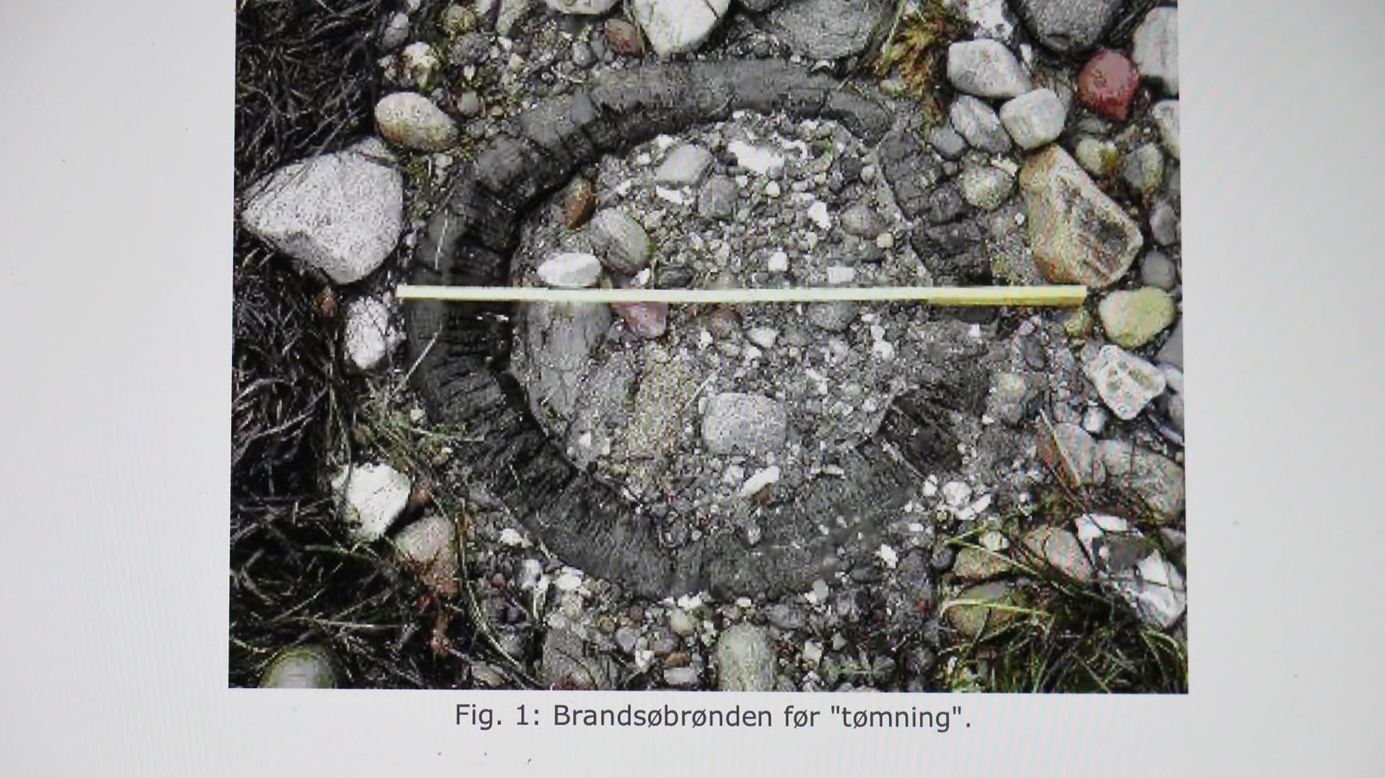 En cirkelrund stammebrønd af egetræ i strandkanten på Brandsø.